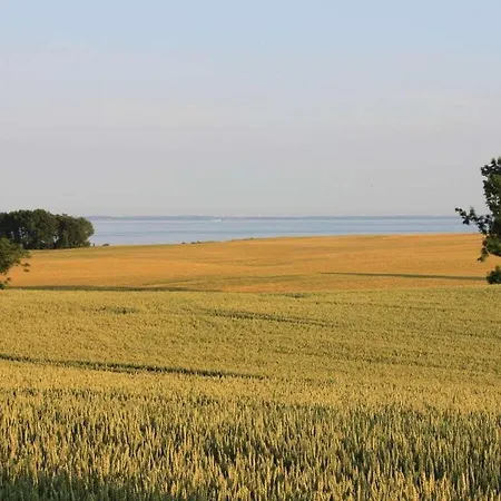 With Style Rosenstrasse Right * グレーミッツ